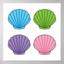 Search for seashell posters Colourful
