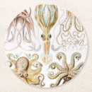 Search for octopus coasters Ernst haeckel
