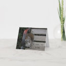 Search for squirrel note cards Nature