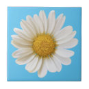 Search for daisy tiles Daisies