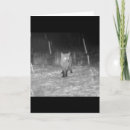 Search for fox cards Wildlife