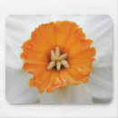 Search for white daffodil mousepads Daffodils