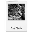 Search for black and white cat face cards Feline