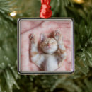 Search for sleeping cat christmas tree decorations Feline