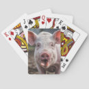 Search for pig playing cards Sow