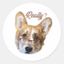 Search for pembroke welsh corgi stickers Pet