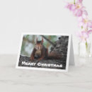 Search for red squirrel christmas cards Animal