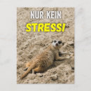 Search for nur Funny