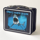 Search for shark lunch boxes School