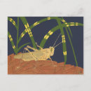 Search for green grasshopper postcards Insect