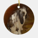 Search for lop rabbit christmas tree decorations Rabbits