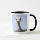 Search for ugly animal mugs Wildlife