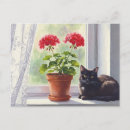 Search for red geranium Green