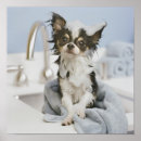 Search for towel posters Baby animals