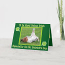 Search for funny st patricks day cards Silly