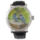 Search for bird watching photography Nature