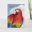 Search for bird pet sympathy cards Condolences