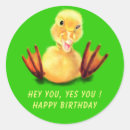 Search for ducklings stickers For kids