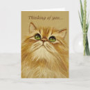 Search for cute kitten thinking of you cards Sweet