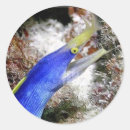 Search for eel stickers Fish