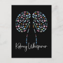 Search for kidney postcards Nurse