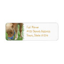 Search for pony return address labels Ponies