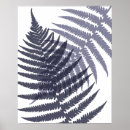 Search for blue ferns posters Modern