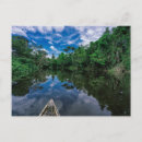 Search for peruvian amazon Woods