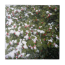 Search for merry christmas tiles Holly