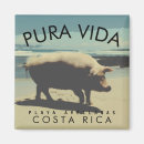 Search for pura magnets Costa rica