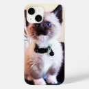 Search for blue eyed iphone cases Kitten