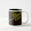 Search for bicolor mugs Frog