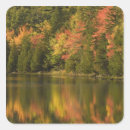 Search for reflection stickers Scenic