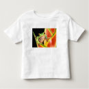 Search for tree frog tshirts Colourful