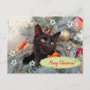 Search for winter snowflake postcards Black