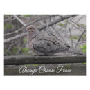 Search for peace dove posters Nature