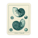 Search for art magnets Sea