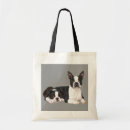 Search for boston terrier bags Bostons
