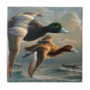 Search for duck tiles Mallard