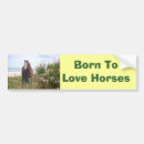 Search for horses bumper stickers Equestrian