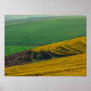 Search for canola posters Landscape