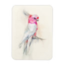 Search for cockatoo kitchen dining Watercolor