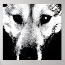 Search for wolf pup posters Dogs