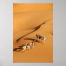 Search for camel posters Desert