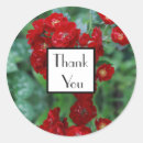 Search for red rose wedding stickers Flowers