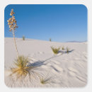 Search for gypsum stickers Dune