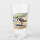 Search for birds tumblers Ocean