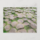 Search for causeway postcards Stone