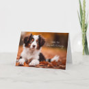 Search for australian shepherd thank you cards Puppy