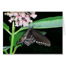 Search for nights note cards Butterfly